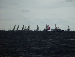  flock of sails 